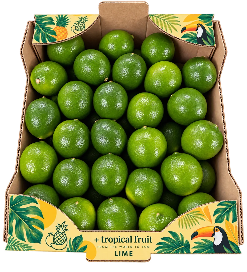Box of Lime imported by + tropical fruit