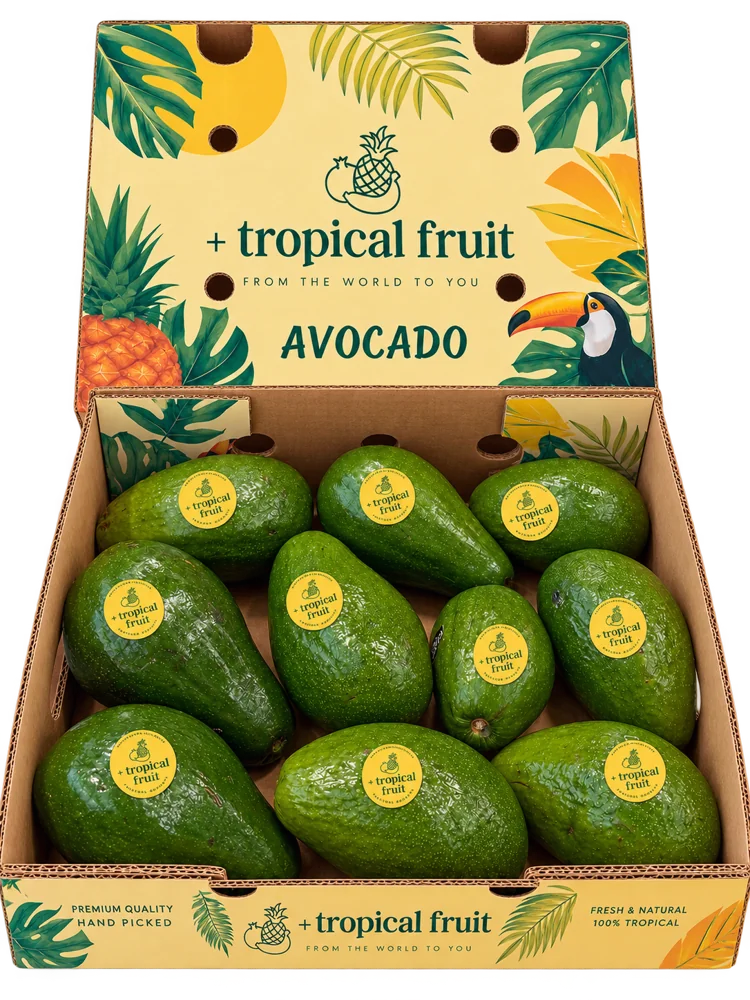 Box of Tropical avocado imported by + tropical fruit