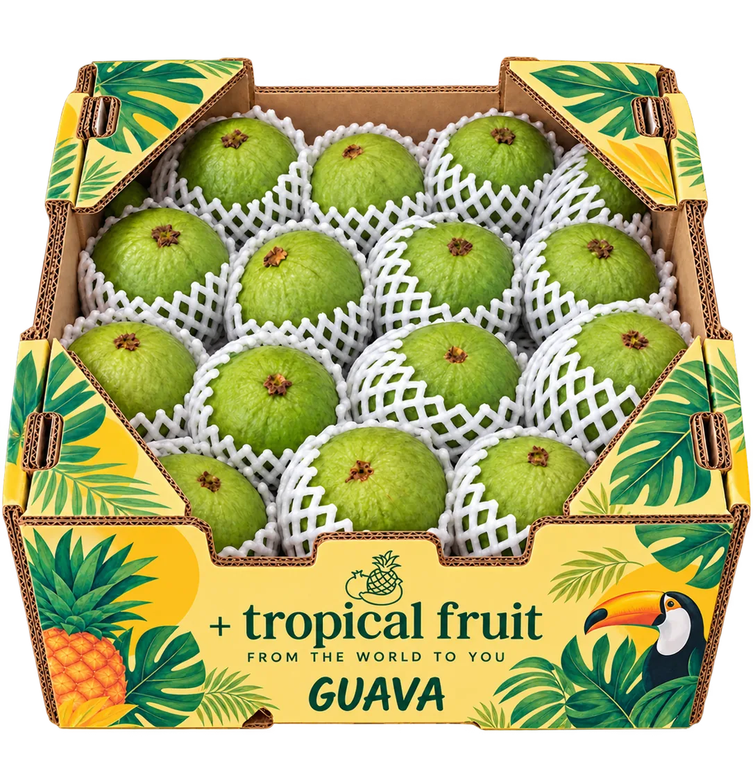 Box of Guava imported by + tropical fruit