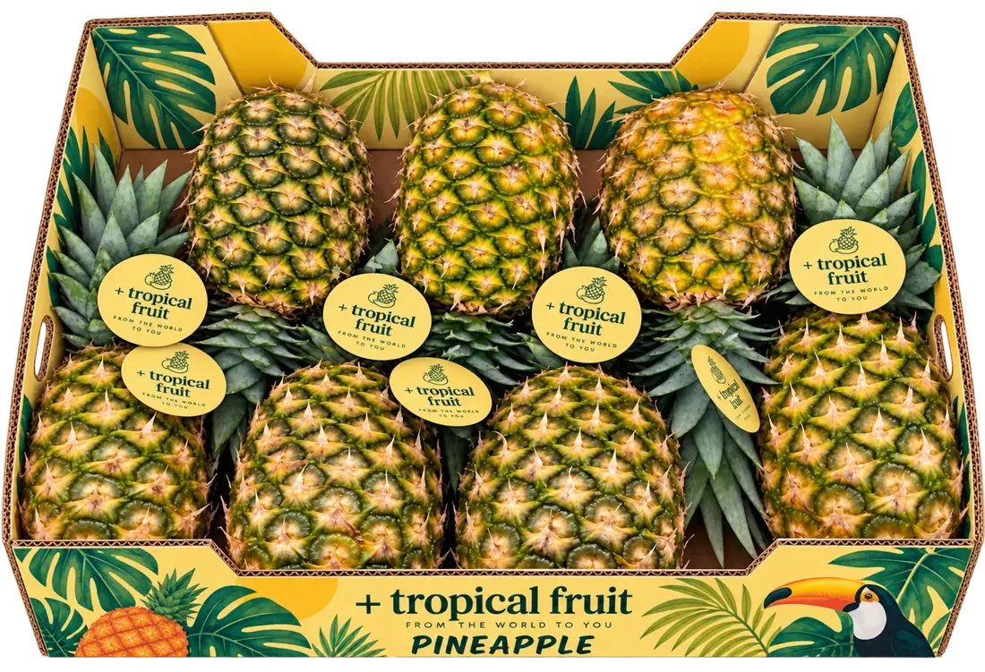Box of Pineapple imported by + tropical fruit