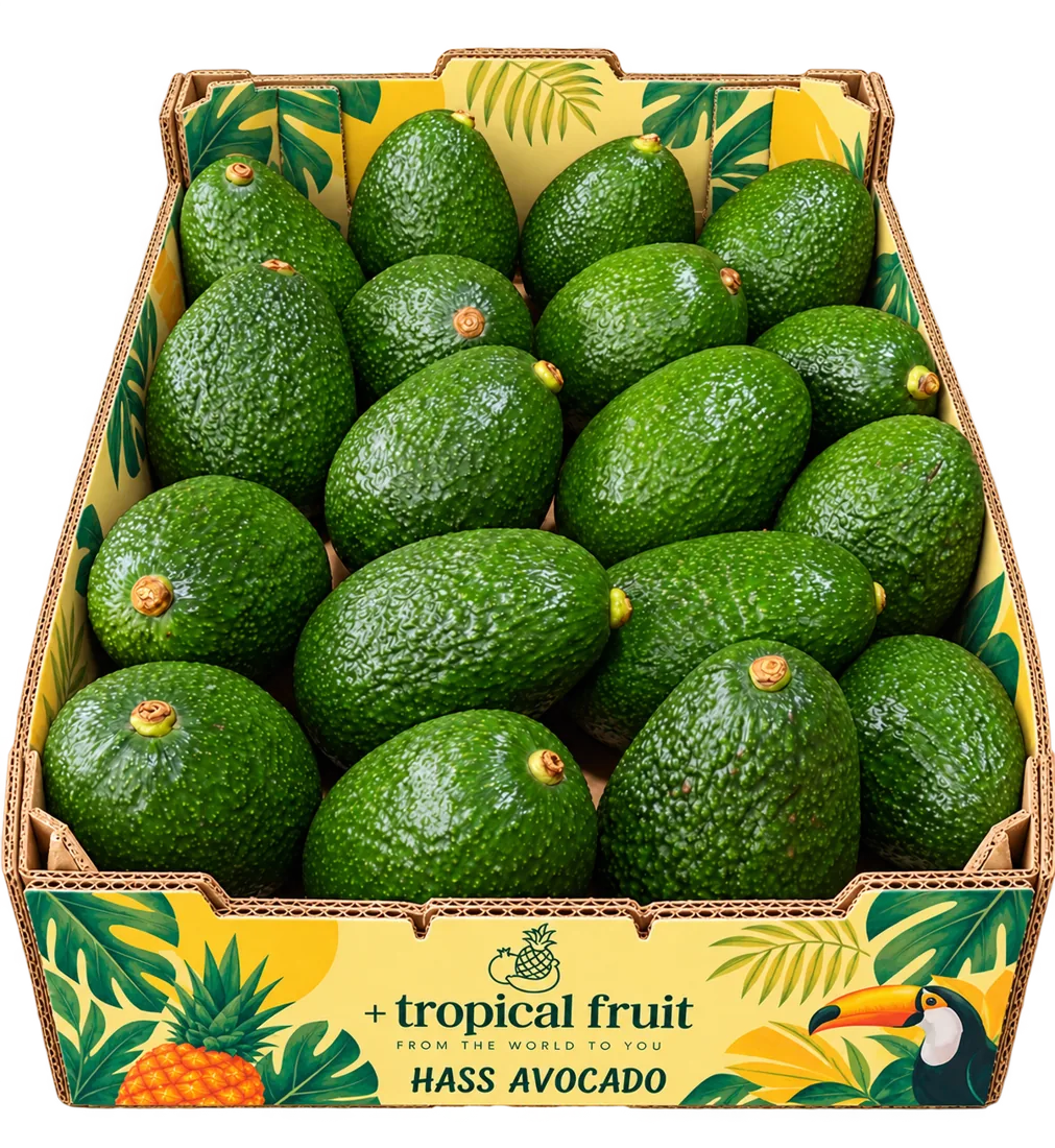 Box of Hass avocado imported by + tropical fruit