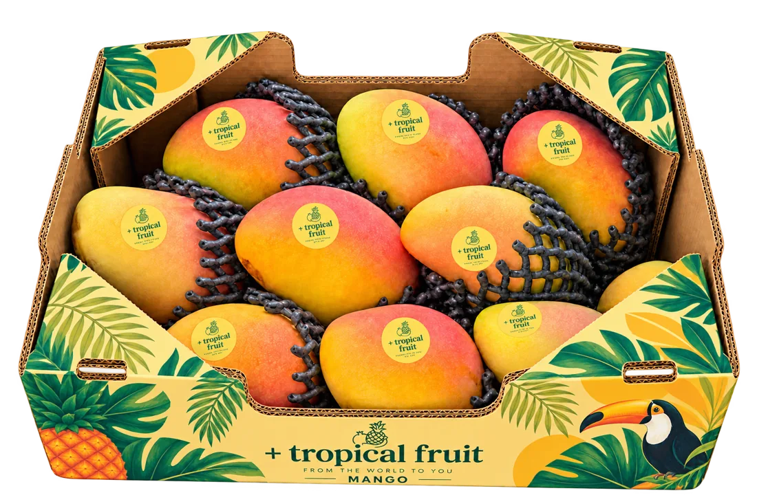 Box of Mango imported by + tropical fruit